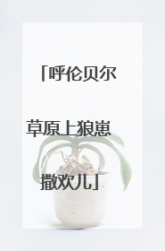 呼伦贝尔草原上狼崽撒欢儿