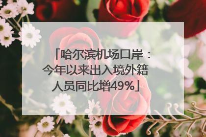 哈尔滨机场口岸：今年以来出入境外籍人员同比增49%