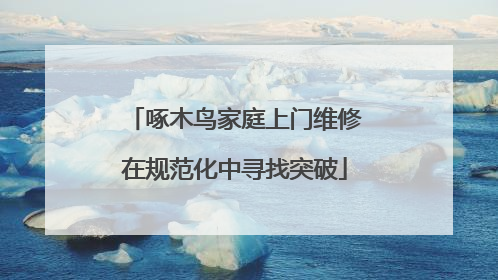 啄木鸟家庭上门维修在规范化中寻找突破