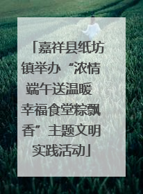 嘉祥县纸坊镇举办“浓情端午送温暖 幸福食堂粽飘香”主题文明实践活动