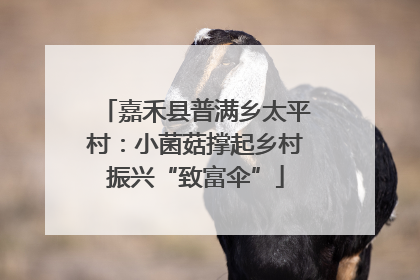 嘉禾县普满乡太平村：小菌菇撑起乡村振兴“致富伞”