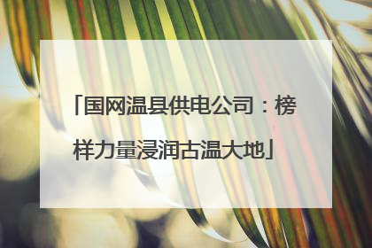 国网温县供电公司：榜样力量浸润古温大地