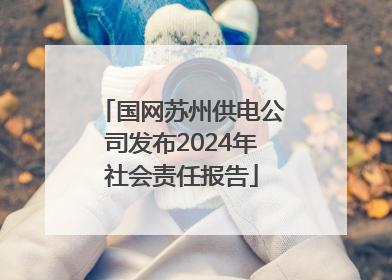 国网苏州供电公司发布2024年社会责任报告