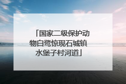 国家二级保护动物白鹭惊现石城镇水堡子村河道