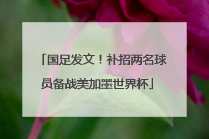 国足发文！补招两名球员备战美加墨世界杯