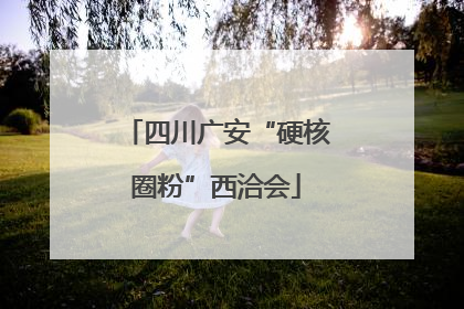 四川广安“硬核圈粉”西洽会