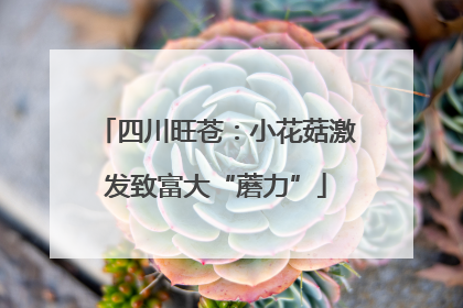 四川旺苍：小花菇激发致富大“蘑力”