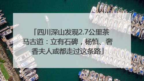 四川深山发现2.7公里茶马古道：立有石碑，杨慎、奢香夫人或都走过这条路