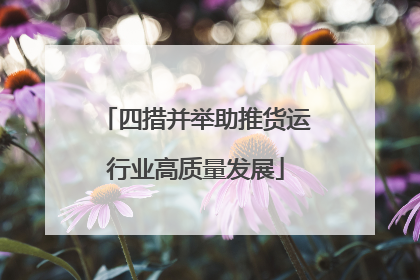 四措并举助推货运行业高质量发展