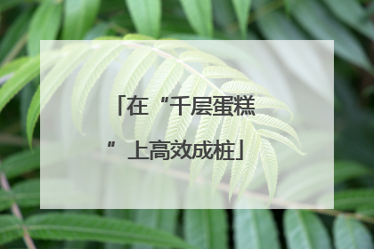 在“千层蛋糕”上高效成桩