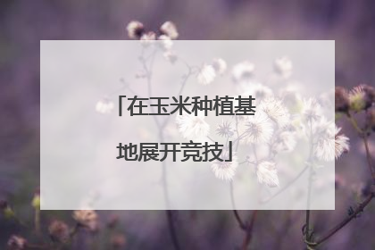 在玉米种植基地展开竞技