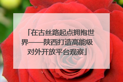在古丝路起点拥抱世界——陕西打造高能级对外开放平台观察