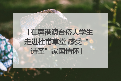 在蓉港澳台侨大学生走进杜甫草堂 感受“诗圣”家国情怀