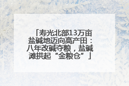 寿光北部13万亩盐碱地迈向高产田：八年改碱夺粮，盐碱滩拱起“金粮仓”
