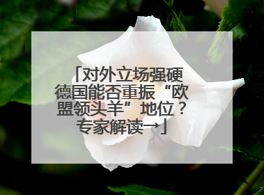 对外立场强硬 德国能否重振“欧盟领头羊”地位？专家解读→