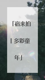 宿来拍丨多彩童年