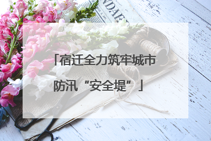 宿迁全力筑牢城市防汛“安全堤”