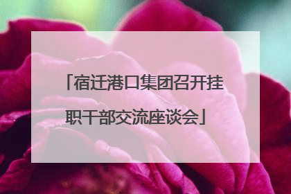 宿迁港口集团召开挂职干部交流座谈会