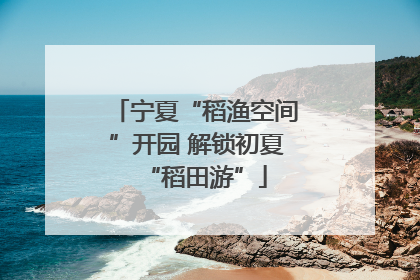 宁夏“稻渔空间”开园 解锁初夏“稻田游”