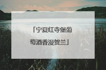 宁夏红寺堡葡萄酒香漫贺兰