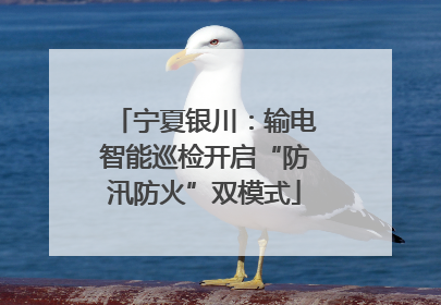 宁夏银川：输电智能巡检开启“防汛防火”双模式