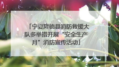 宁夏隆德县消防救援大队多举措开展“安全生产月”消防宣传活动
