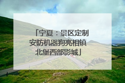 宁夏：景区定制安防机器狗亮相镇北堡西部影城