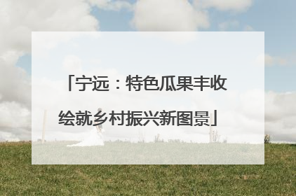 宁远：特色瓜果丰收绘就乡村振兴新图景