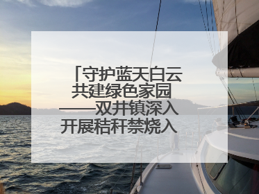 守护蓝天白云 共建绿色家园——双井镇深入开展秸秆禁烧入户宣传活动