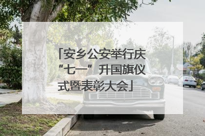 安乡公安举行庆“七一”升国旗仪式暨表彰大会