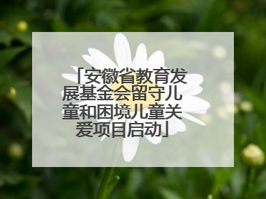 安徽省教育发展基金会留守儿童和困境儿童关爱项目启动