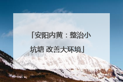 安阳内黄：整治小坑塘 改善大环境