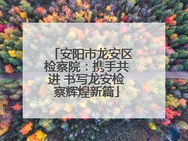 安阳市龙安区检察院：携手共进 书写龙安检察辉煌新篇