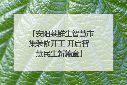安阳菜鲜生智慧市集装修开工 开启智慧民生新篇章