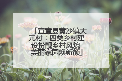 宜章县黄沙镇大元村：四类乡村建设扮靓乡村风貌 美丽家园焕新颜