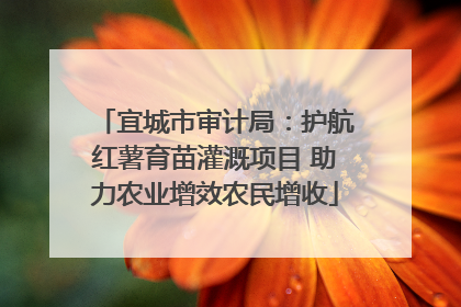 宜城市审计局：护航红薯育苗灌溉项目 助力农业增效农民增收