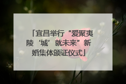 宜昌举行“爱聚夷陵‘城’就未来”新婚集体颁证仪式