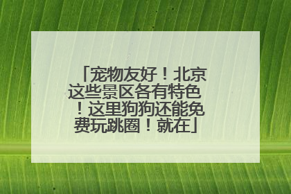 宠物友好！北京这些景区各有特色！这里狗狗还能免费玩跳圈！就在