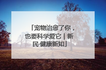 宠物治愈了你，也要科学爱它｜新民·健康新知