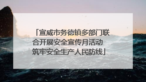 宣威市务德镇多部门联合开展安全宣传月活动 筑牢安全生产人民防线