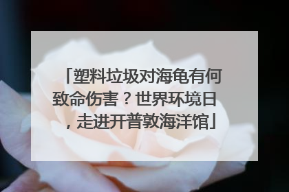 塑料垃圾对海龟有何致命伤害？世界环境日，走进开普敦海洋馆