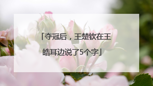 夺冠后，王楚钦在王皓耳边说了5个字