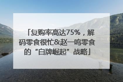 复购率高达75%，解码零食很忙&赵一鸣零食的“白牌崛起”战略
