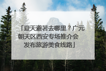 夏天避暑去哪里？广元朝天区西安专场推介会 发布旅游美食线路