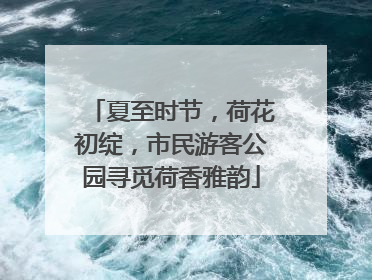 夏至时节，荷花初绽，市民游客公园寻觅荷香雅韵