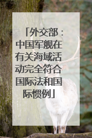外交部：中国军舰在有关海域活动完全符合国际法和国际惯例