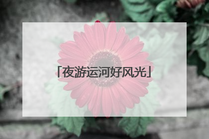 夜游运河好风光
