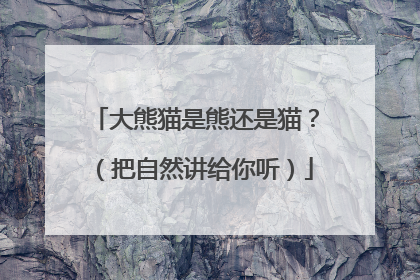 大熊猫是熊还是猫？（把自然讲给你听）