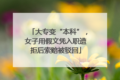 大专变“本科”，女子用假文凭入职遭拒后索赔被驳回