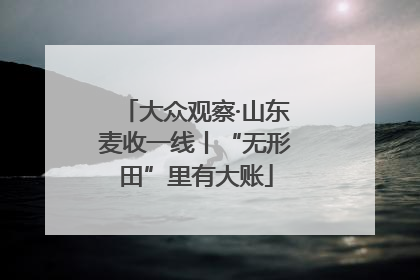 大众观察·山东麦收一线丨“无形田”里有大账